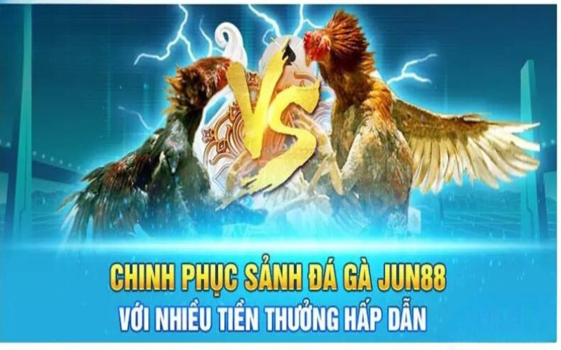 Chiến thuật chơi đá gà tại Jun88 hiệu quả