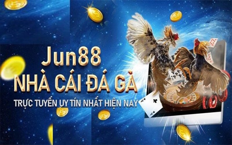 Các thể loại đá gà tại Jun88 hot hit