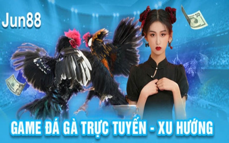 Tổng quan về sảnh đá gà Jun88